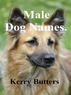 cover image of Male Dog Names.